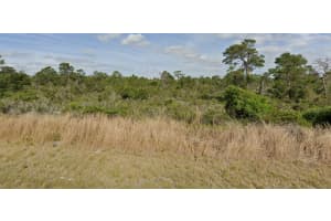 239 Sandpiper St, LAKE PLACID