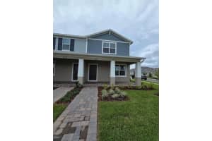 15038 Windflower, WINTER GARDEN