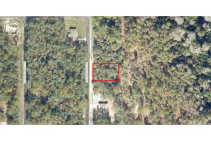 Locust Terrace Pl, OCALA