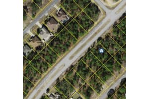 9209 N Citrus Springs Blvd, CITRUS SPRINGS