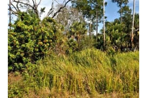 Firebird Rd, NORTH PORT