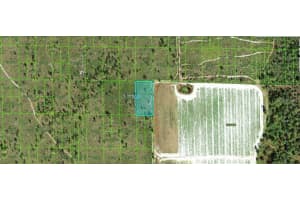 Grape Hammock Rd, LAKE WALES