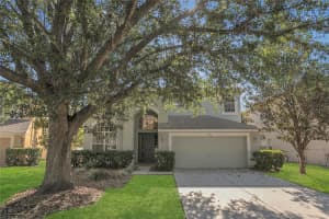 4432 Huddlestone Dr, WESLEY CHAPEL