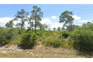 6115 Pear Blossom St, SEBRING