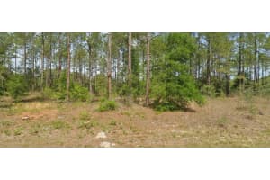 10940 N Letterwood Way, DUNNELLON