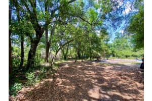 910 S Lake Pleasant Rd, APOPKA
