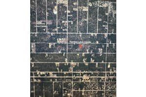 Blk 10a Lot 57, DUNNELLON