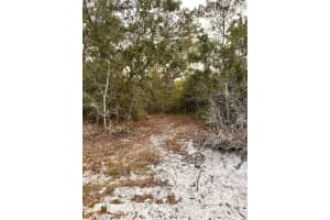 Purcell (paper) St, DELTONA