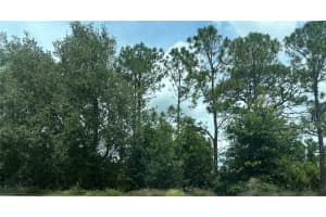 Sr-535, ORLANDO