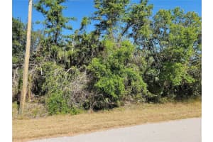 Lot 34 Eastman Cir, NORTH PORT