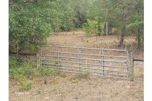 1650 E Withlacoochee Trl, DUNNELLON