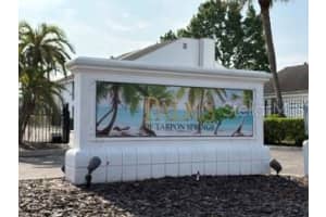 738 Haven Pl, TARPON SPRINGS