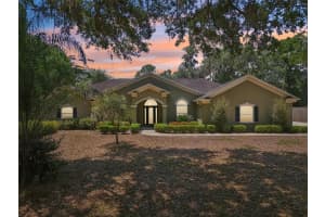 6686 Se 135th St, SUMMERFIELD