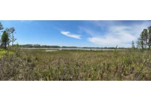 8335 Florida Boys Ranch Rd, GROVELAND