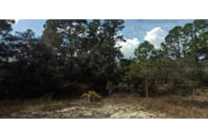 394 Showboat Ave, LAKE PLACID