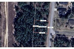 62 Grass St, HOMOSASSA