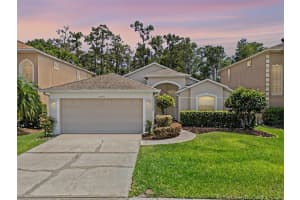 14780 Hartford Run Dr, ORLANDO