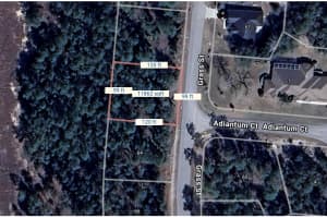 64 Grass St, HOMOSASSA