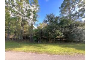 405 Pandora Dr, INDIAN LAKE ESTATES