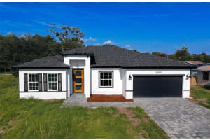 16367 Sw 17th Terrace Rd, OCALA