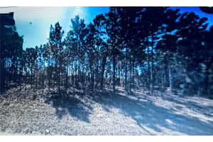 Marion Oaks, OCALA