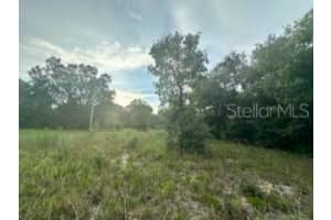 Nw 56th Court, OCALA