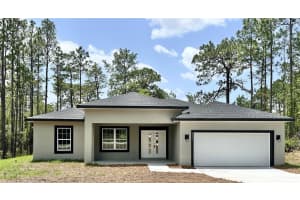 9335 N Fairy Lilly Dr, CITRUS SPRINGS