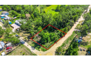 40850 Pine Tree Ln, EUSTIS 40850 Pine Tree Ln, EUSTIS