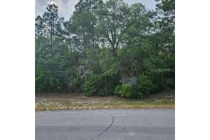 Lot 13 Sw 145th Place Rd, DUNNELLON