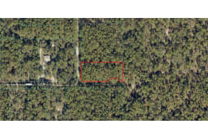3895 Sw 175th Ter, DUNNELLON