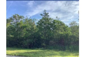 Wembley Ave, ORLANDO