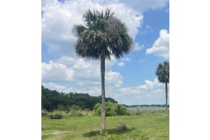 1231 43rd St, ORLANDO