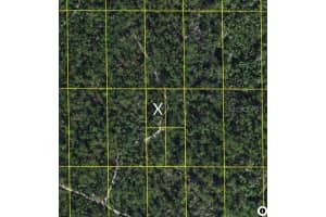 Sr-60, LAKE WALES