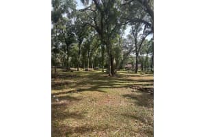 Tbd Sw 111th Ln, DUNNELLON