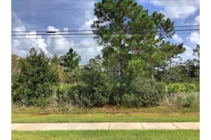Bancroft Blvd, ORLANDO