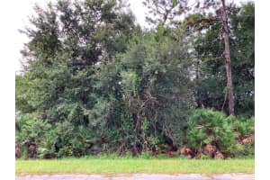 Odham St, ORLANDO