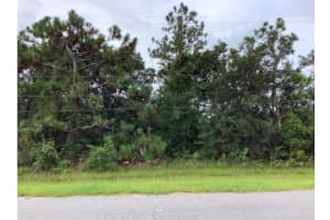 Oberly Pkwy, ORLANDO