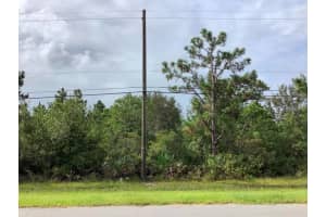 Oberly Pkwy, ORLANDO