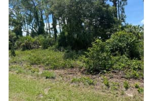 Sw 135th Street Road #20, OCALA