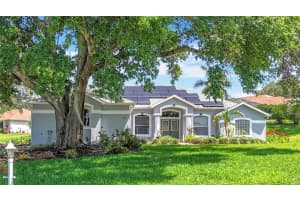 5311 Saddleback Ct, LADY LAKE