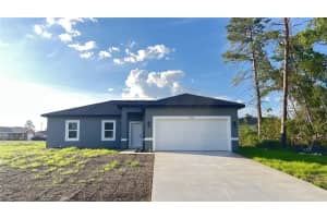 4121 Sw 172nd Place Rd, OCALA