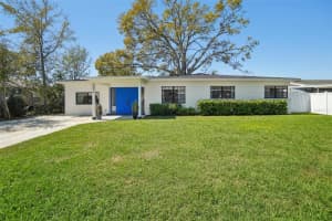 4335 S Coolidge Ave, TAMPA