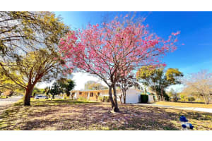1516 Dove Dr, ORLANDO
