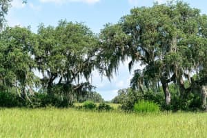 Lot22,shoreline Ranch Ln, UMATILLA