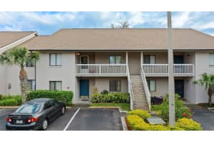 3706 Greenery Ct #206, TAMPA