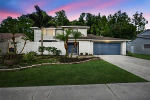 4404 Grainary Ave, TAMPA