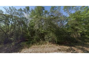 652 E Kingsdale St, DUNNELLON