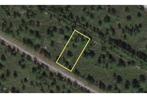Orlando Dr, INDIAN LAKE ESTATES