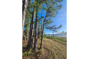 2332 Mitchell Island Rd, DELTONA