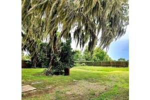 770 W Webster Ave #rear Lot, WINTER PARK 770 W Webster Ave #rear Lot, WINTER PARK